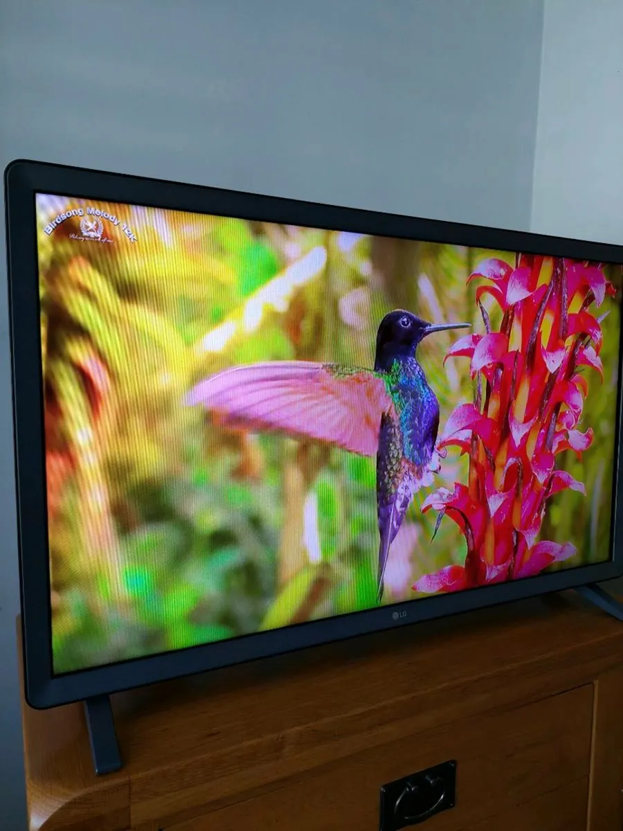 LG Smart HDR Tv - Image 1