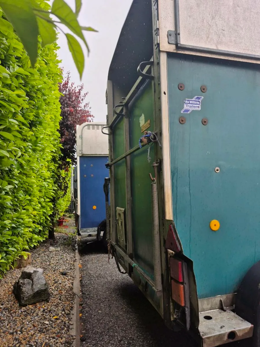Horse box - Image 3