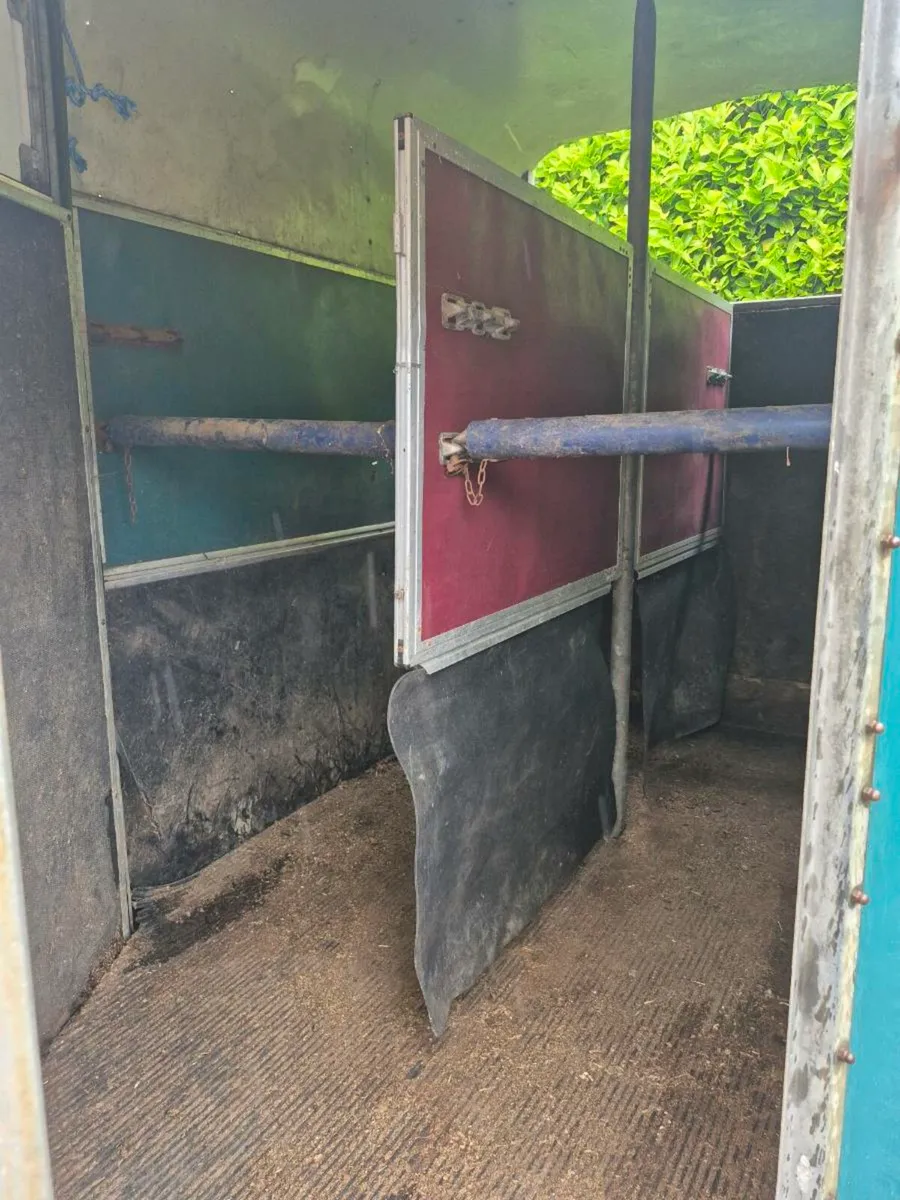 Horse box - Image 4