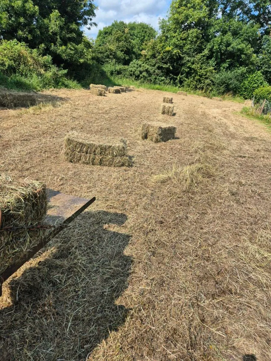 Small square baling service - Image 3