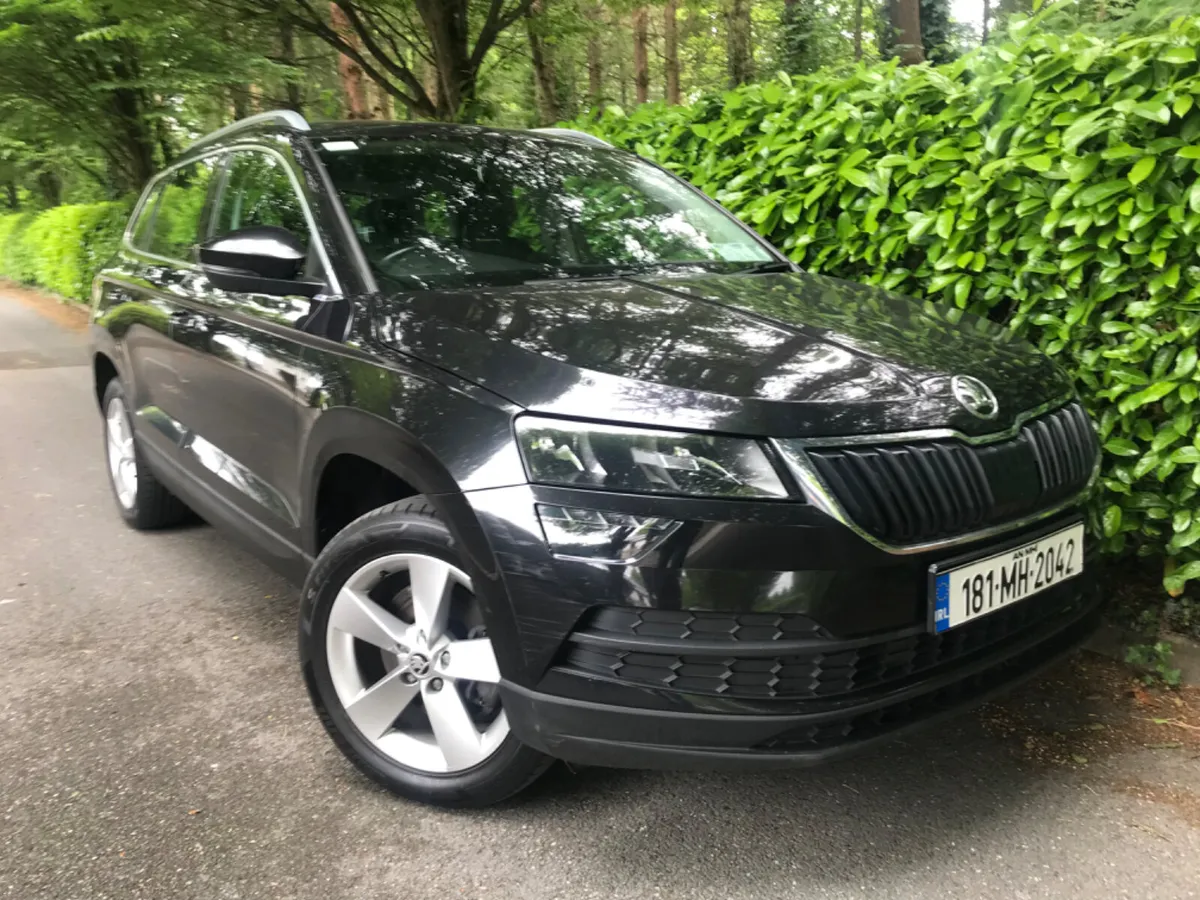 Skoda Karoq 1.6TDI 115bhp Ambition Sports Edition - Image 2