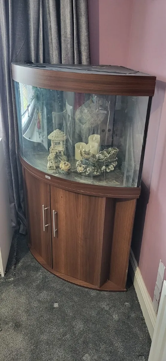 Aquarium - Image 2