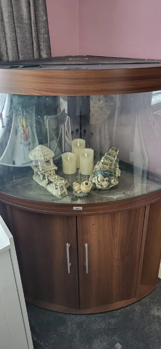Aquarium - Image 4