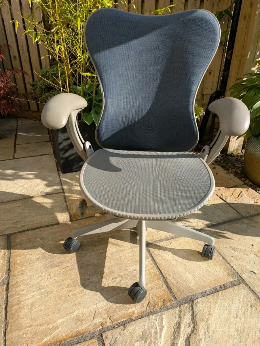 Ergonomic office chair - Image 1