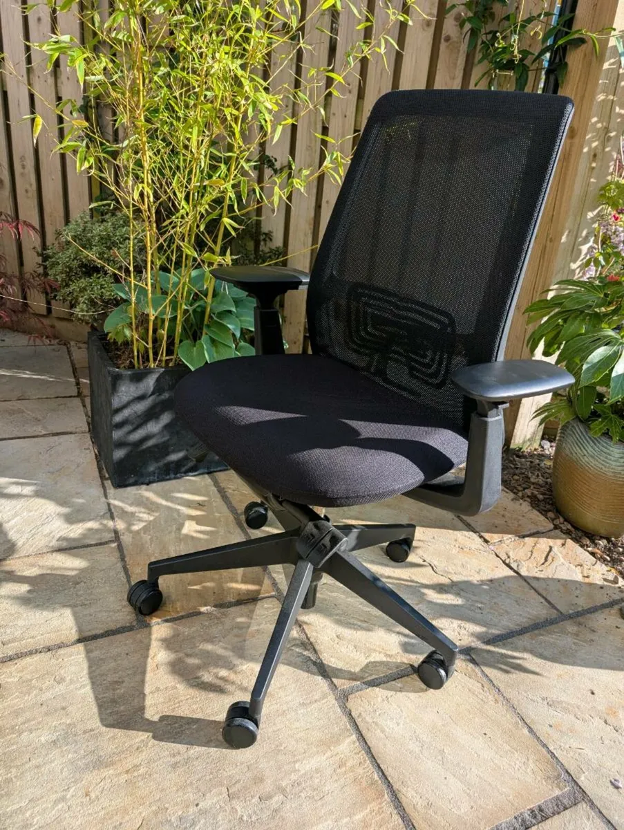 Ergonomic office chair - Image 1