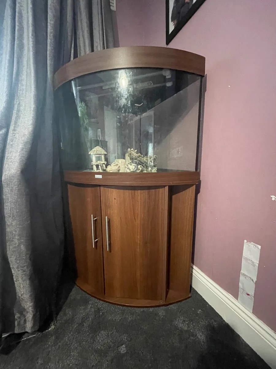Aquarium - Image 1