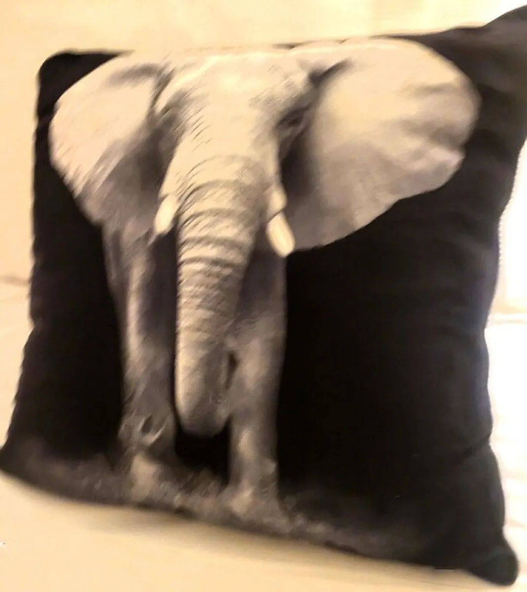 Various Cushions & Throws @ various prices - Image 3
