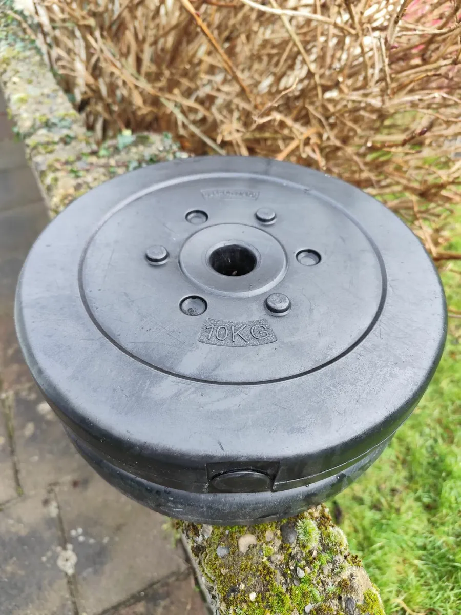 Weights - Image 2
