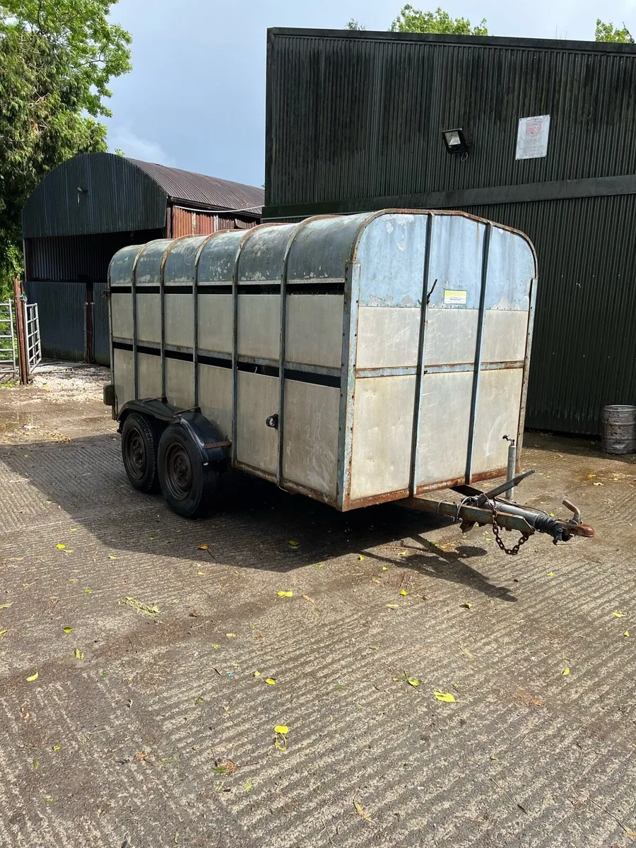 12ft crooks cattle trailer - Image 1