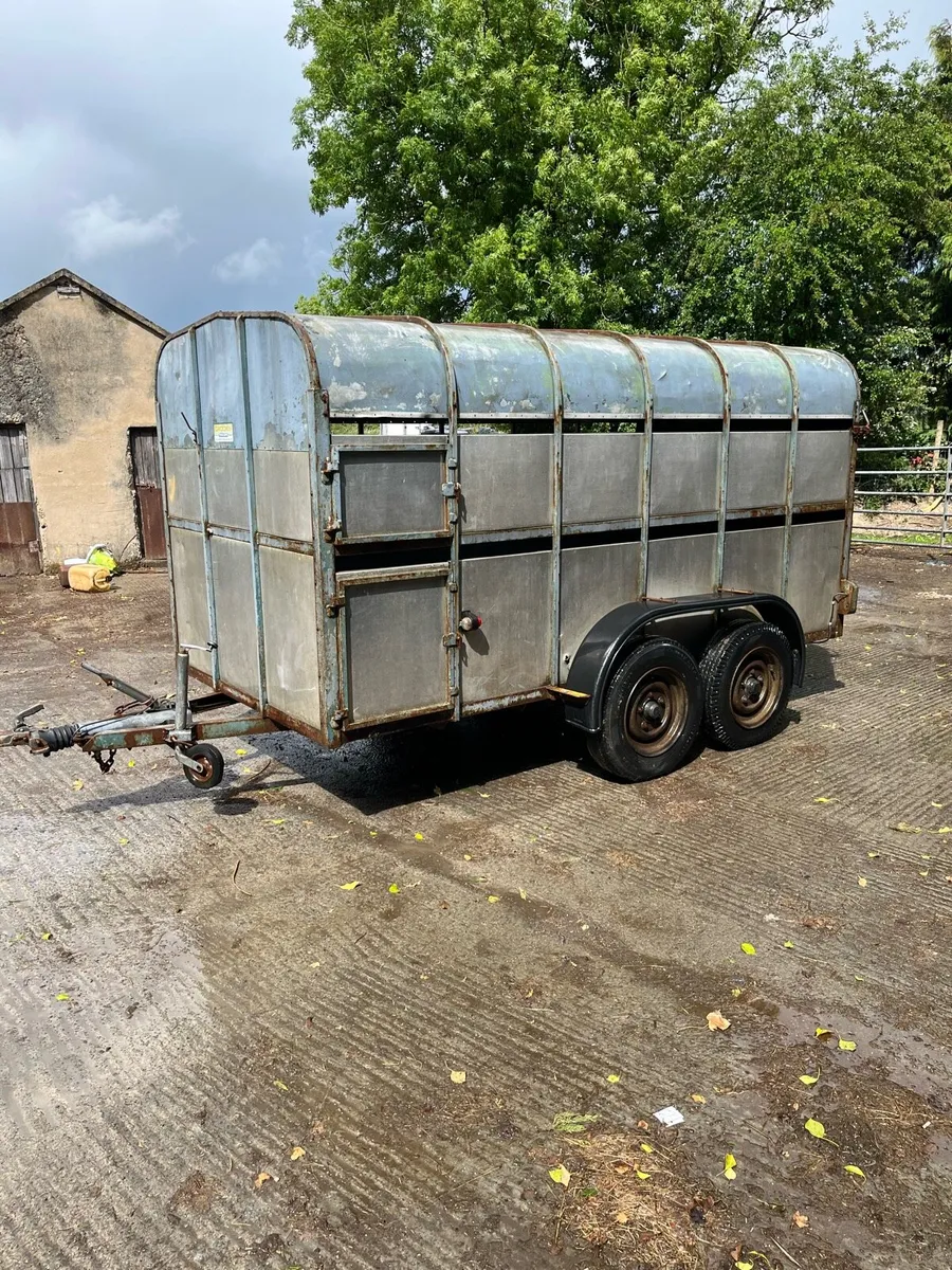 12ft crooks cattle trailer - Image 2