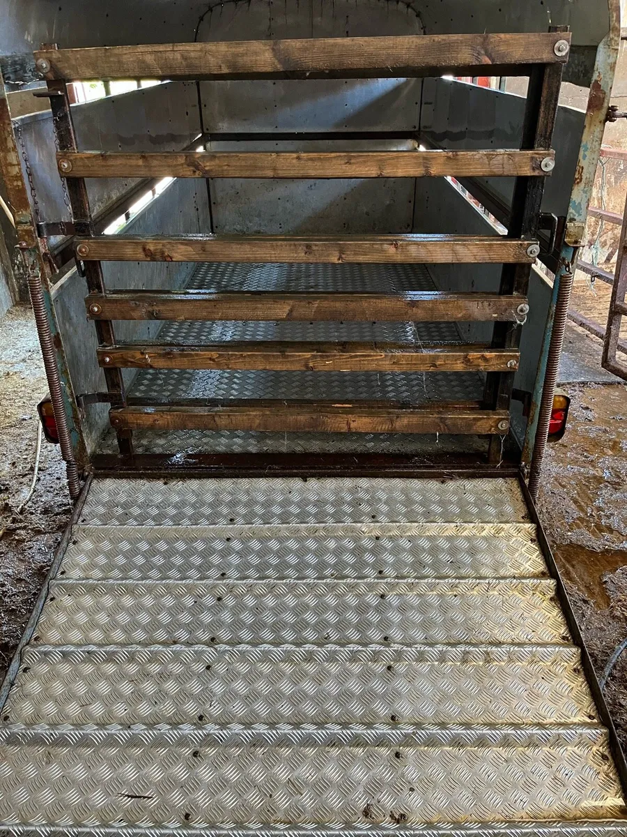 12ft crooks cattle trailer - Image 3