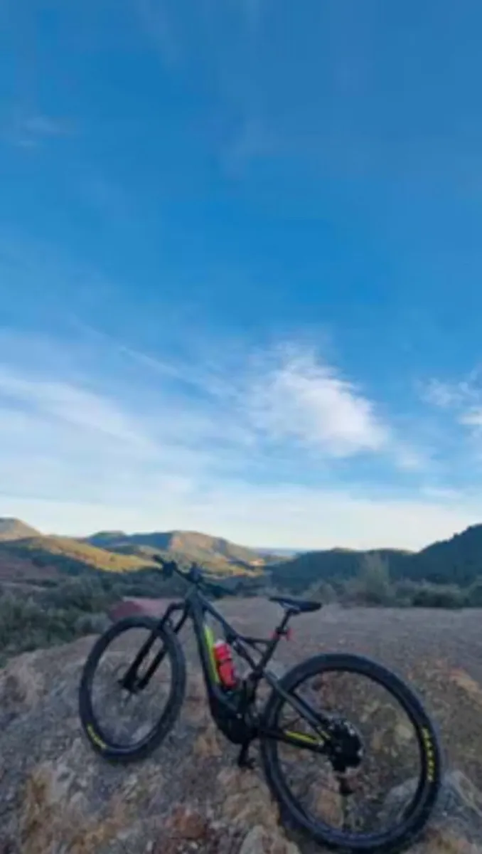 Specialized Turbo - Image 2