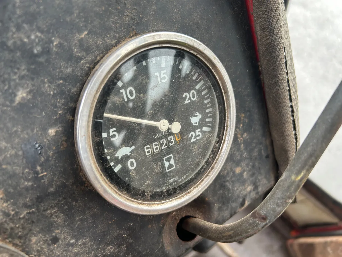 1981 Massey Ferguson 265 2wd - Image 3