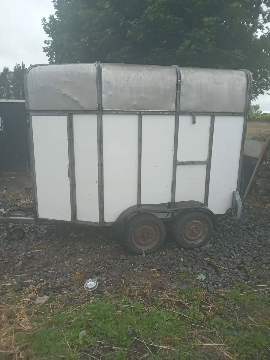 Double horse box - Image 2
