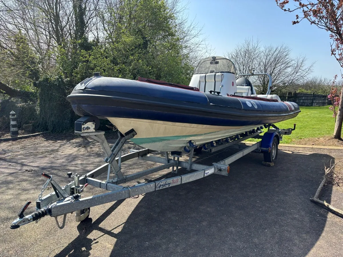 Rib - Image 1