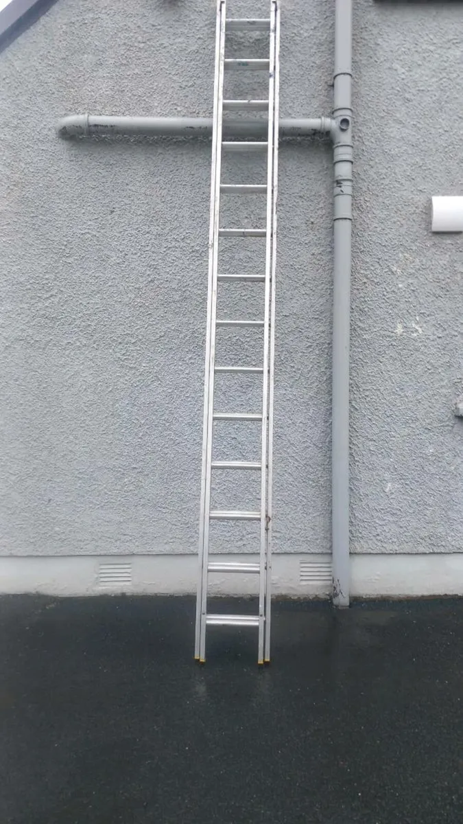 Lyte double ladder - Image 1