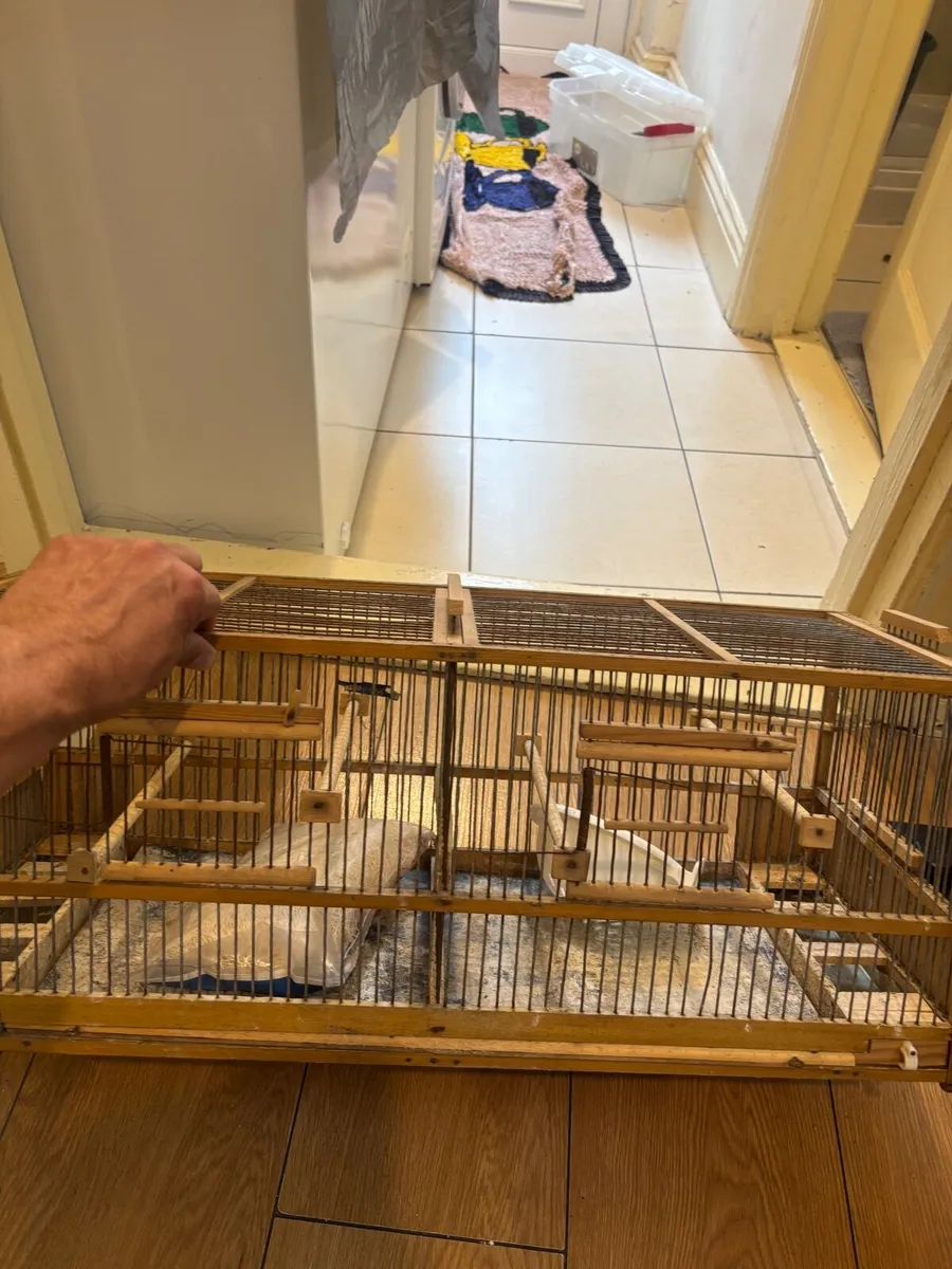 Cage - Image 1