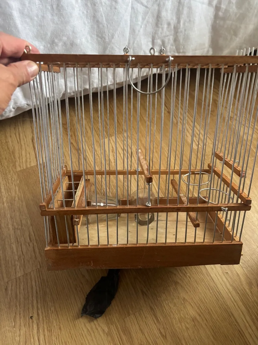 Cage - Image 4