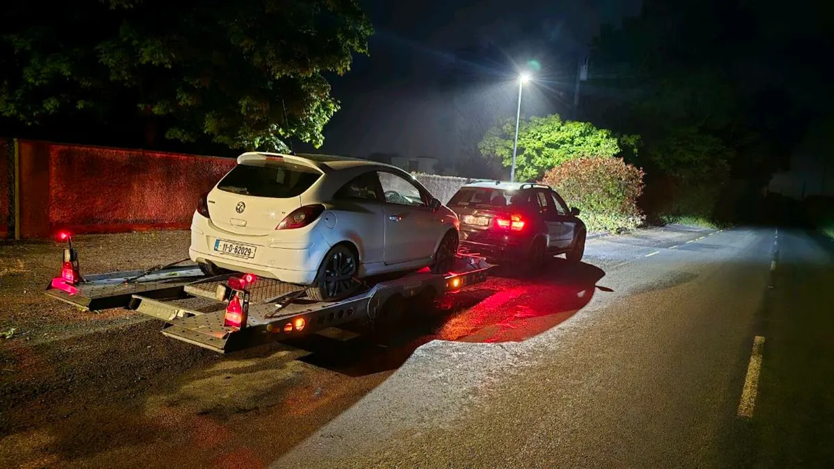 Car transport and recovery - Image 4