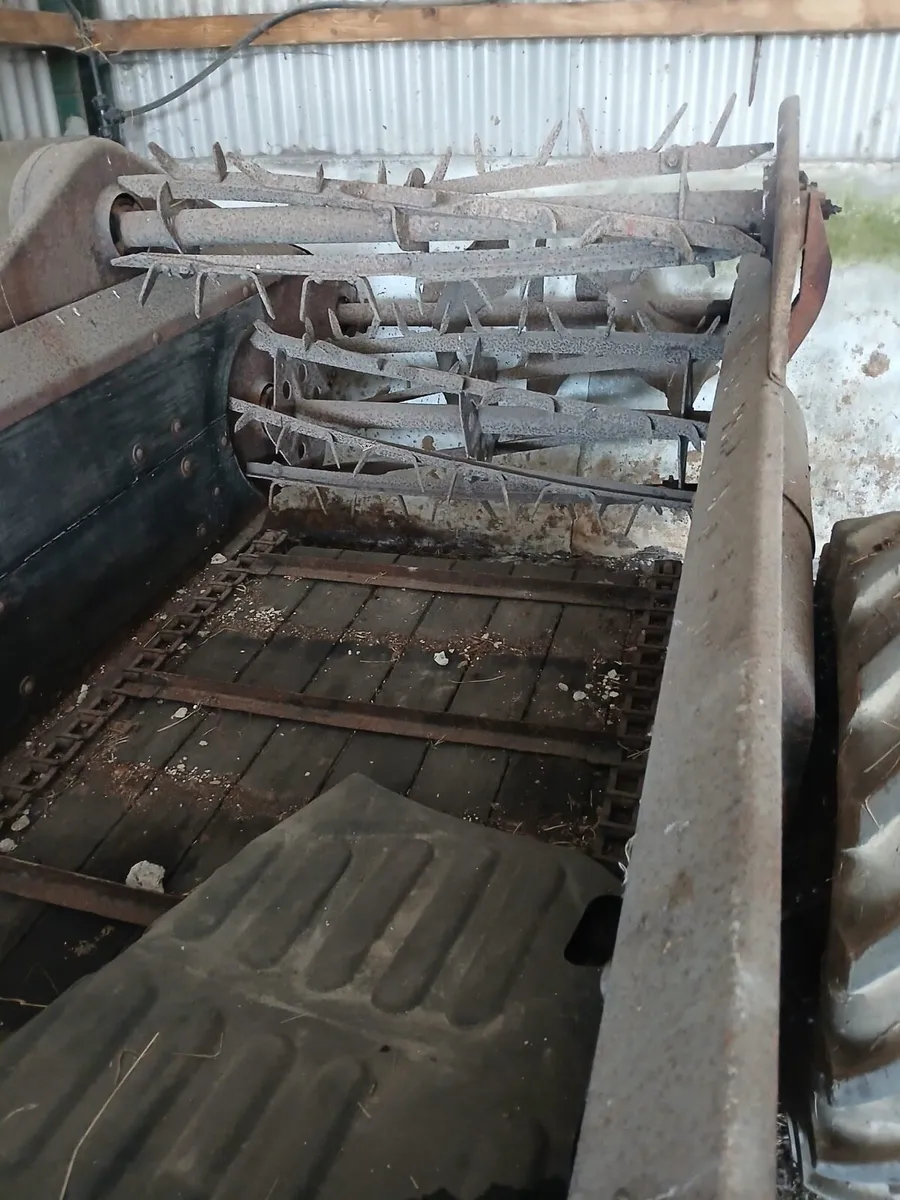 Vintage Dung Spreader - Image 3