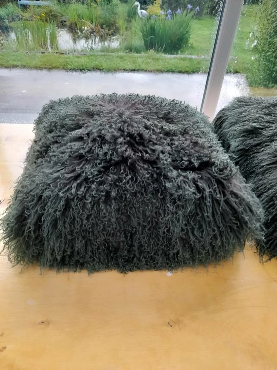 Cushions - Image 2