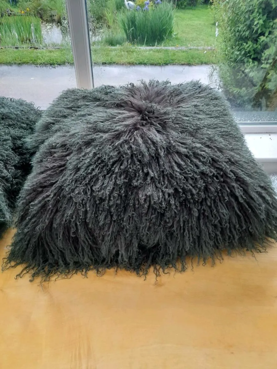 Cushions - Image 3