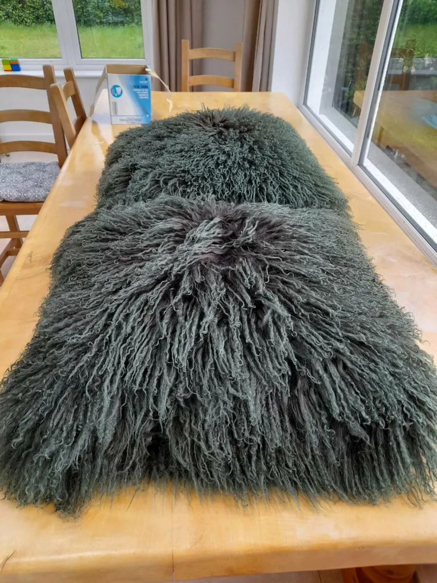 Cushions - Image 4