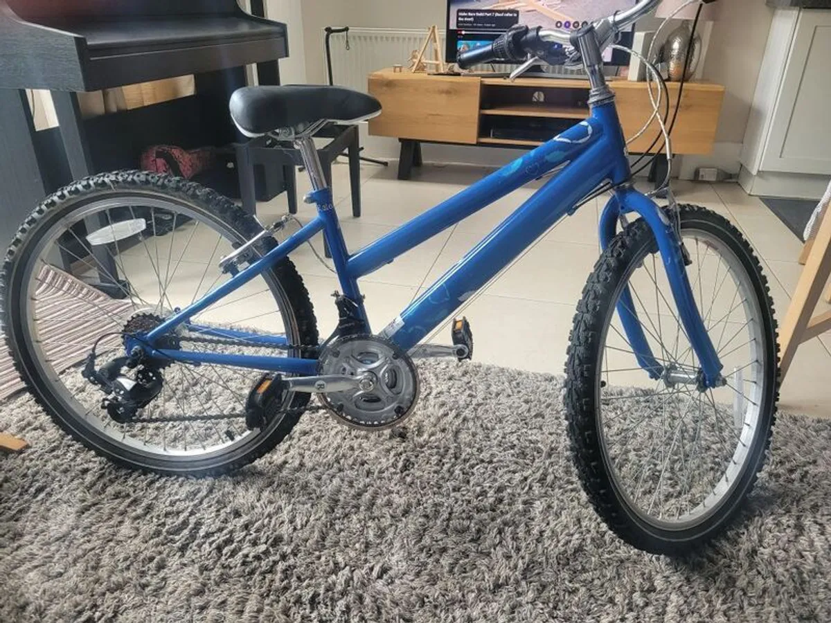 girls raleigh bike krush 16 inch wheels