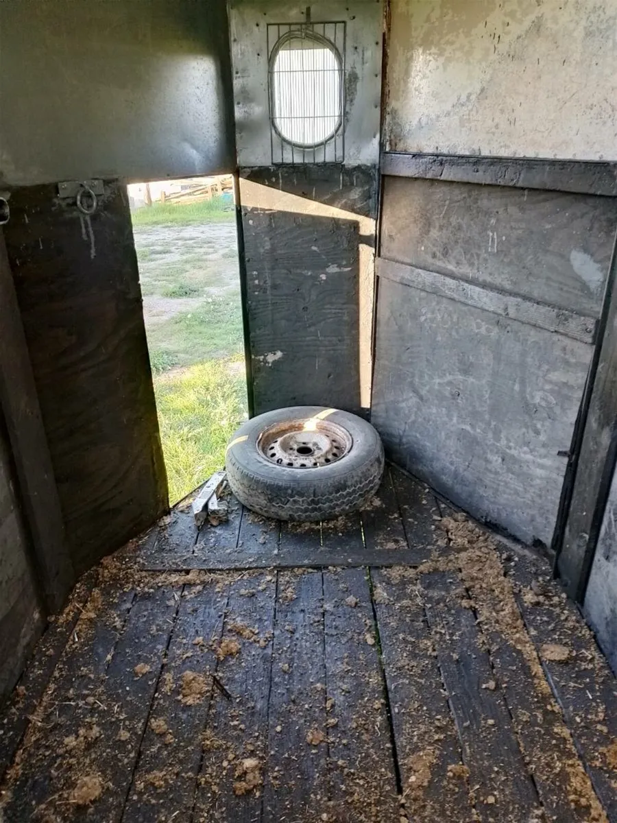 Horse Box - Image 2