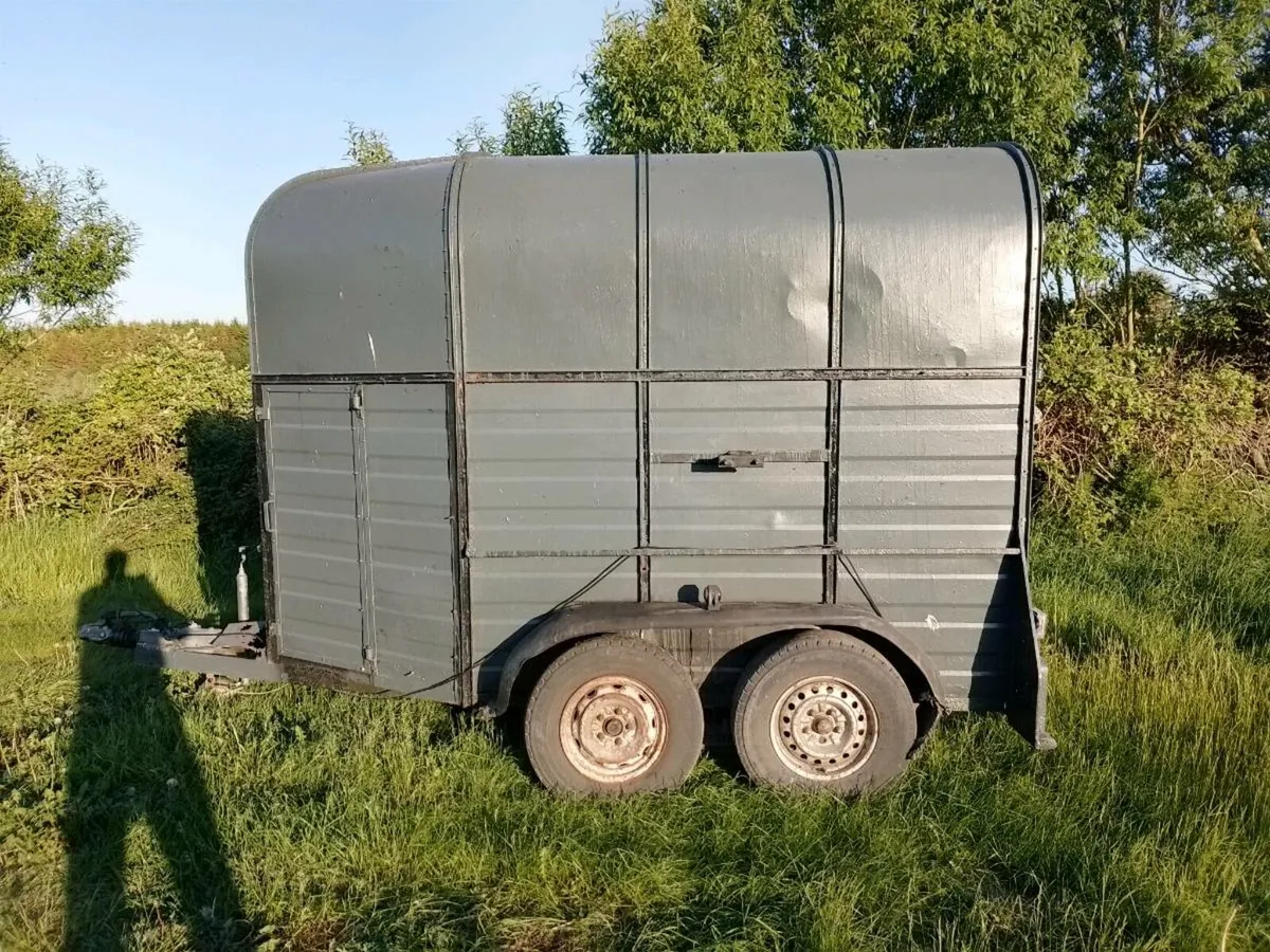 Horse Box - Image 3