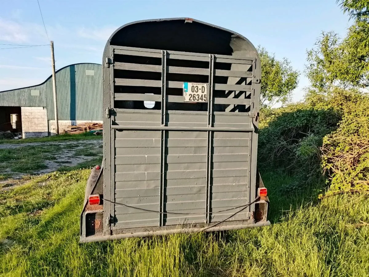 Horse Box - Image 4