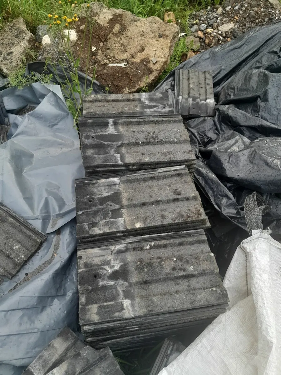 Roof tiles - Image 2