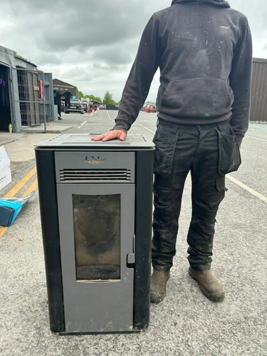 Wood burning pellet stove