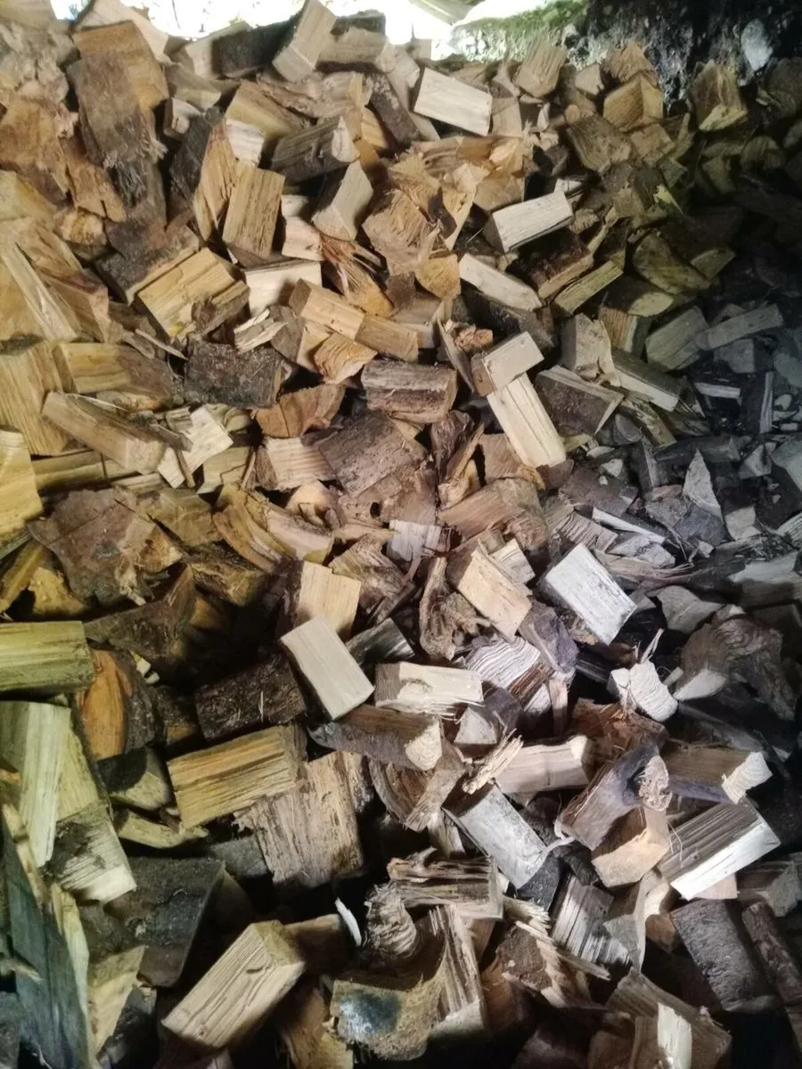 Shed clearout, firewood - Image 1