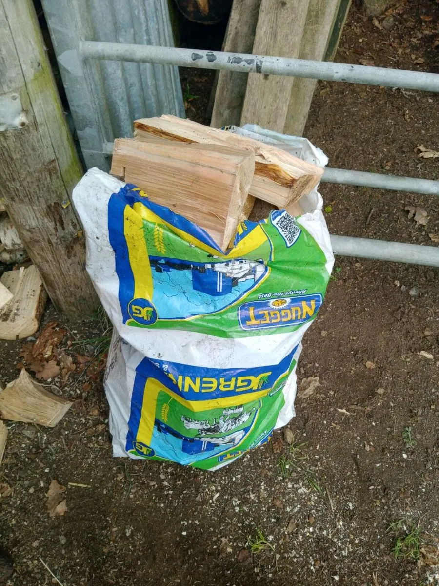 Shed clearout, firewood - Image 2