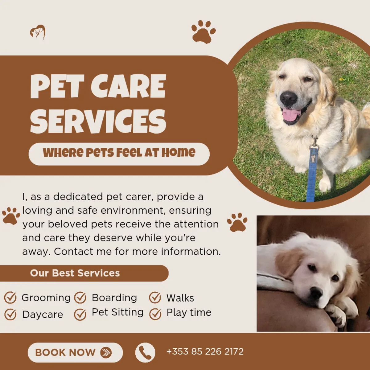 Pet Sitting - Image 1