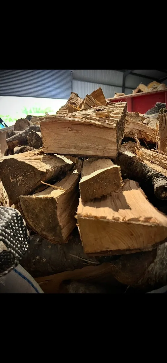 Firewood - Image 1