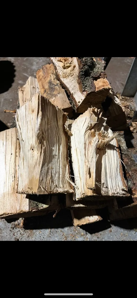 Firewood - Image 2
