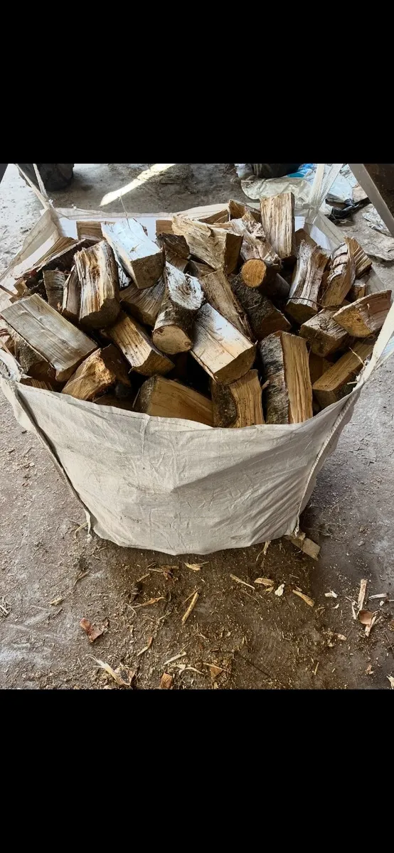 Firewood - Image 3