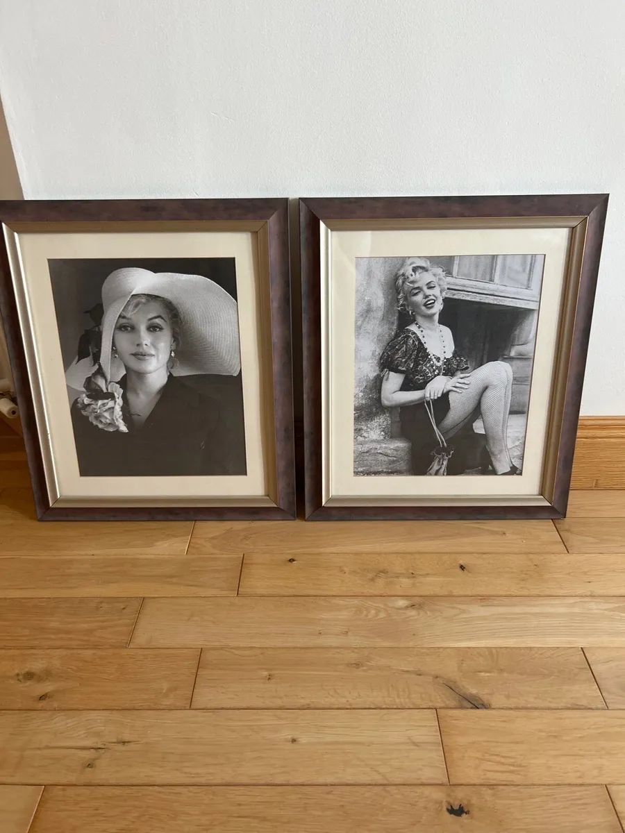 2 framed pictures