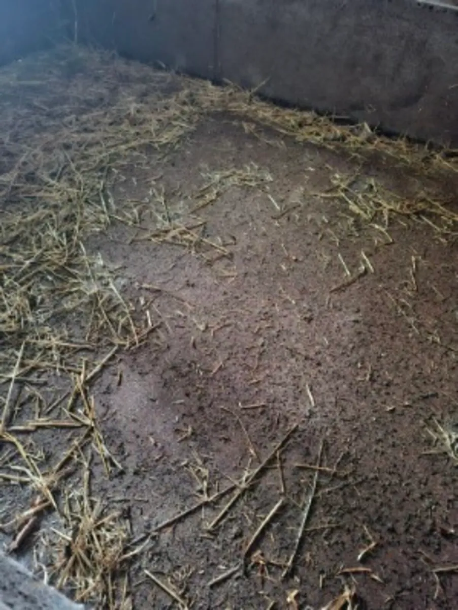 Silage trail - Image 4
