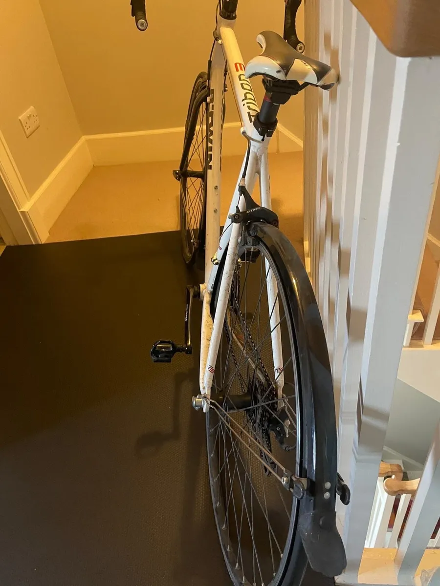 Bike - Image 2