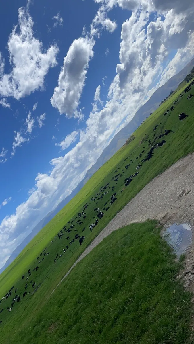 Relief milker