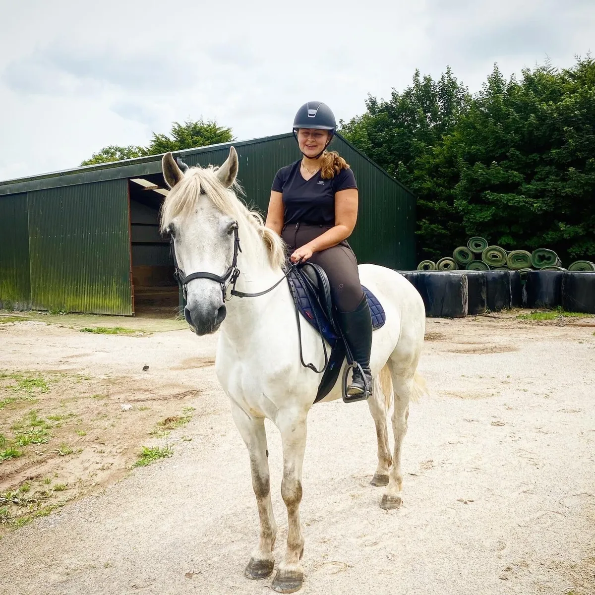 14.2hh Connemara Pony - Image 2