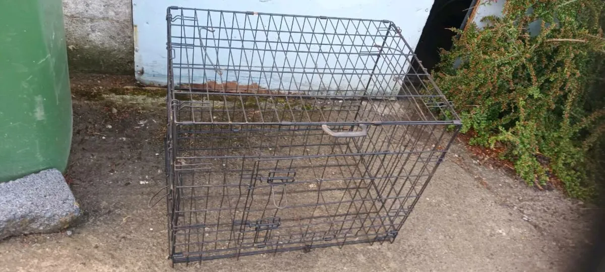 Dog cage - Image 1