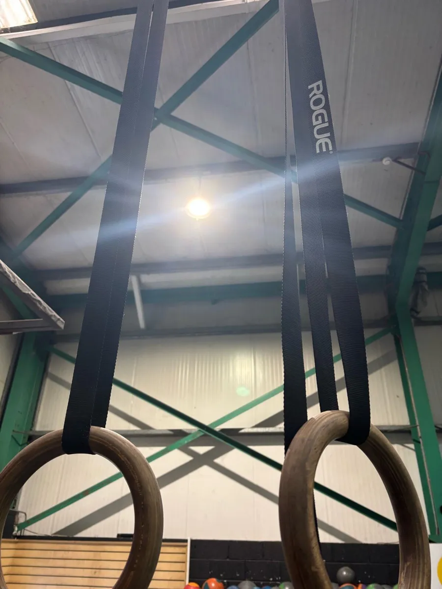 3 x SETS ROUGE RINGS WITH 40FT STRAPS - Image 4