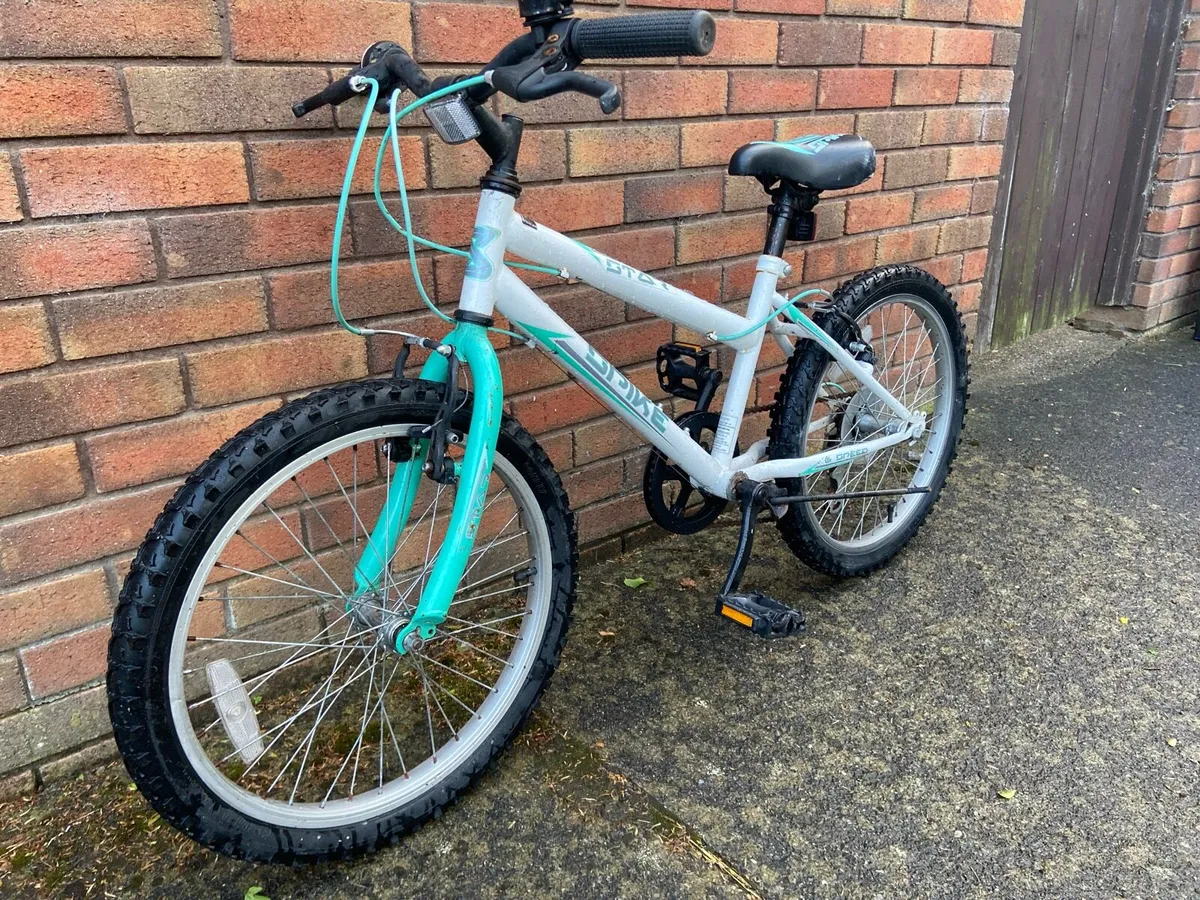 18 Inch Spike boys bike - Image 1