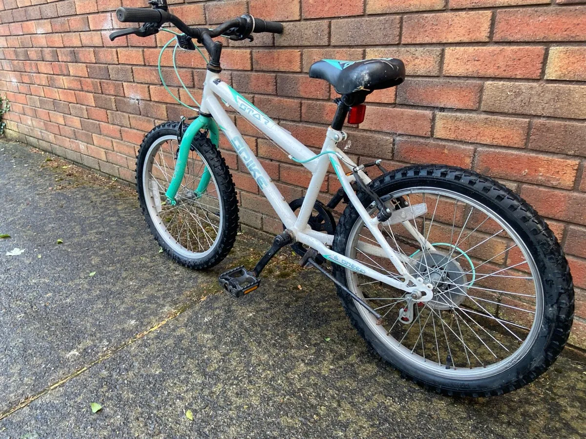 18 Inch Spike boys bike - Image 3