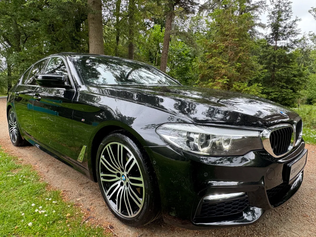 520D MSPORT * HUGE SPEC * - Image 2