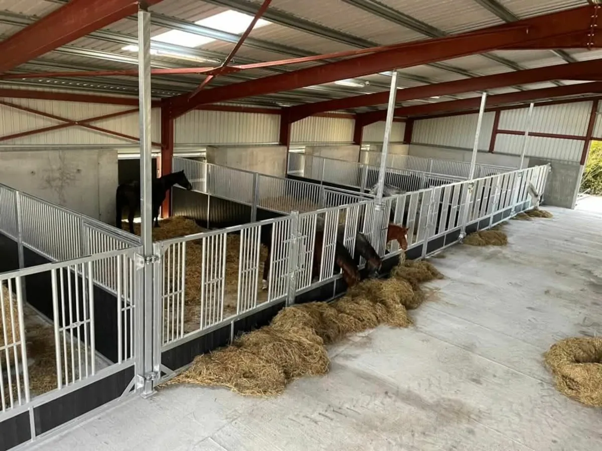 Stable doors, dividers, horse barriers - Image 4